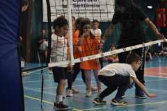 VolleyS3-05-07-at-12.35.53-2